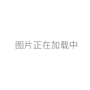 上海司樂B13-3智能恒溫數顯磁力攪拌器